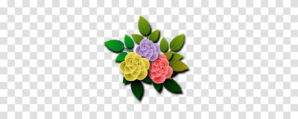 Roses Nature, Floral Design Transparent Png