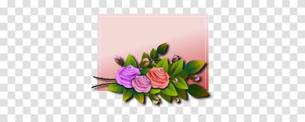 Roses Nature, Floral Design, Pattern Transparent Png