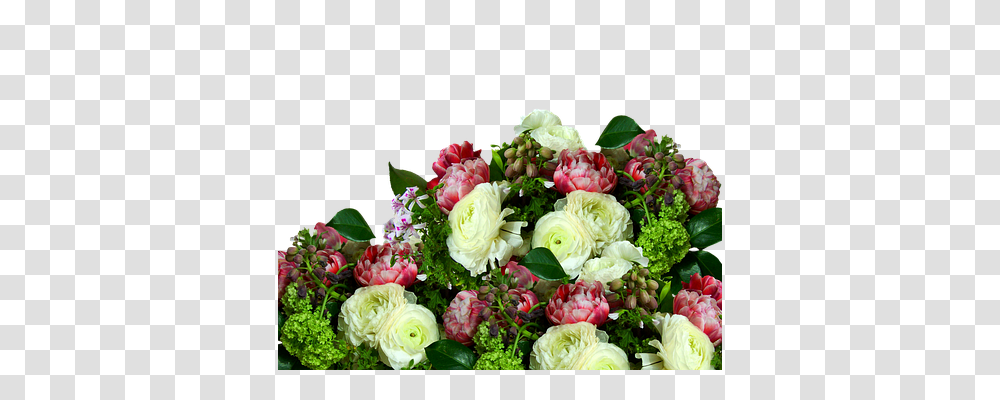 Roses Nature, Floral Design Transparent Png