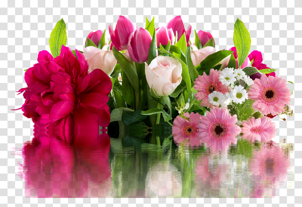 Roses 960, Flower, Plant, Blossom, Flower Arrangement Transparent Png