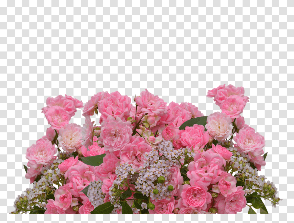 Roses 960, Flower, Plant, Blossom, Flower Bouquet Transparent Png