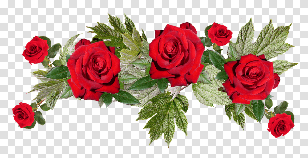 Roses 960, Flower, Plant, Blossom, Flower Arrangement Transparent Png