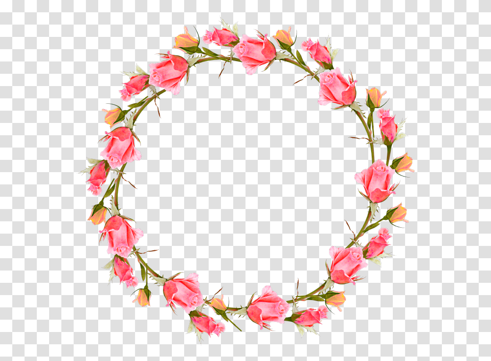 Roses Circle Stickers Garland Floral Wreaths Background Flower Wreath, Plant, Blossom, Petal, Photography Transparent Png