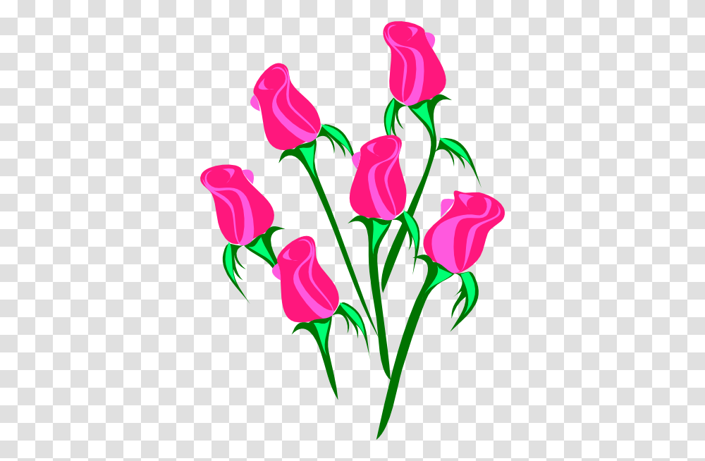 Roses Clip Art, Plant, Flower, Blossom Transparent Png