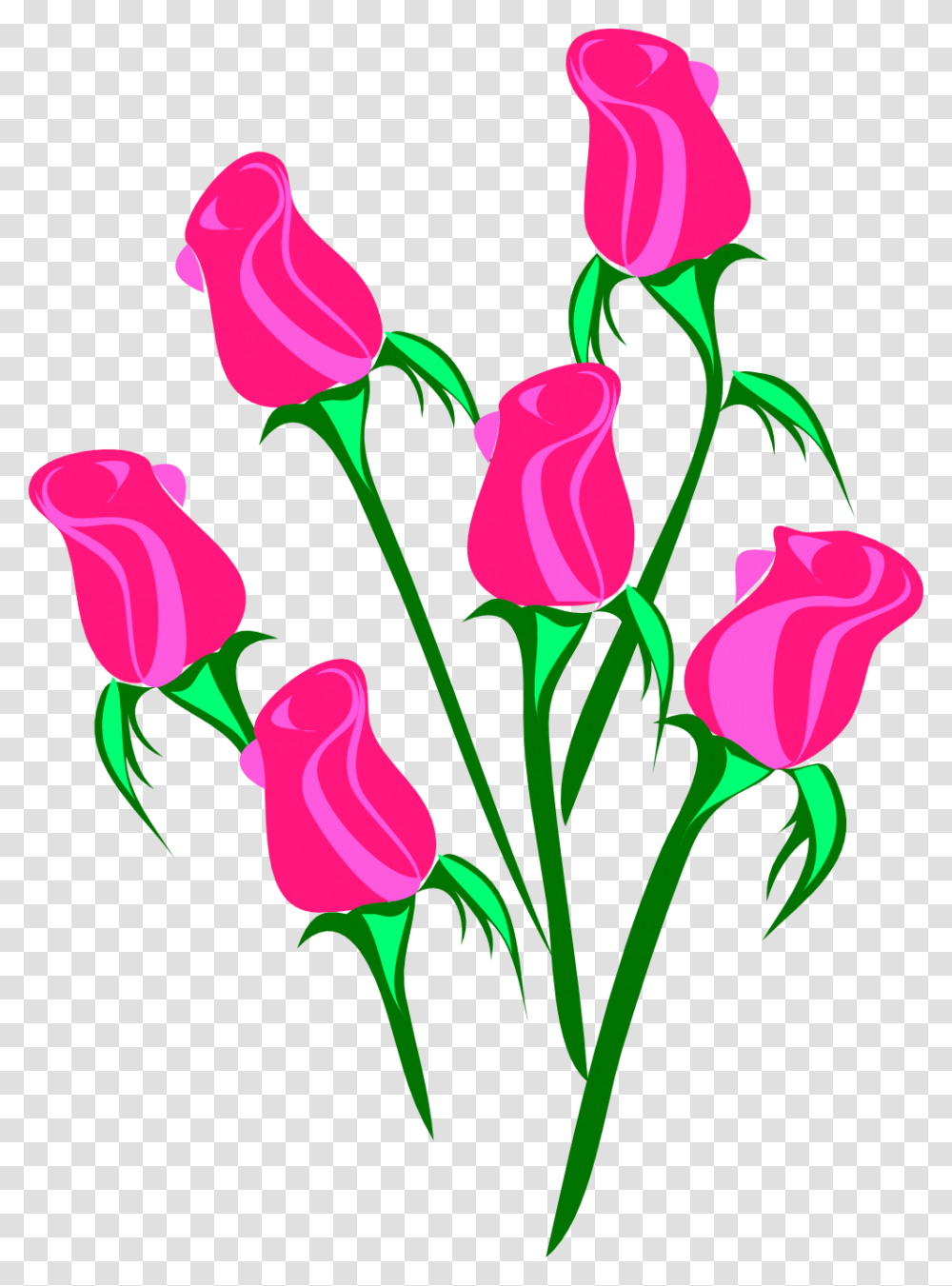 Roses Clip Art, Plant, Flower, Blossom, Tulip Transparent Png