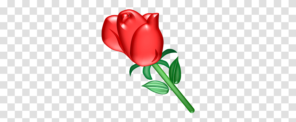 Roses Clip Art Red Rose, Plant, Flower, Blossom, Petal Transparent Png