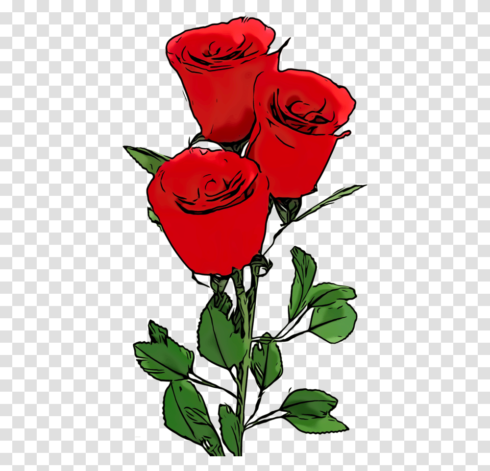 Roses Clipart, Flower, Plant, Blossom Transparent Png