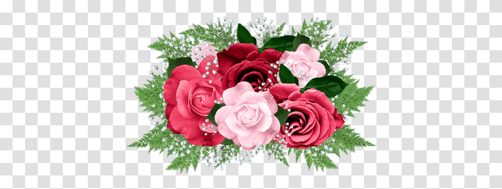 Roses Clipart Images Frame With Flower In, Plant, Blossom, Flower Bouquet, Flower Arrangement Transparent Png