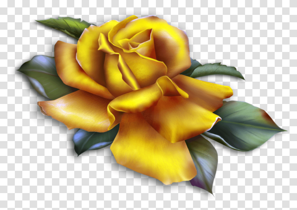 Roses Clipart Yellow, Plant, Flower, Blossom, Petal Transparent Png