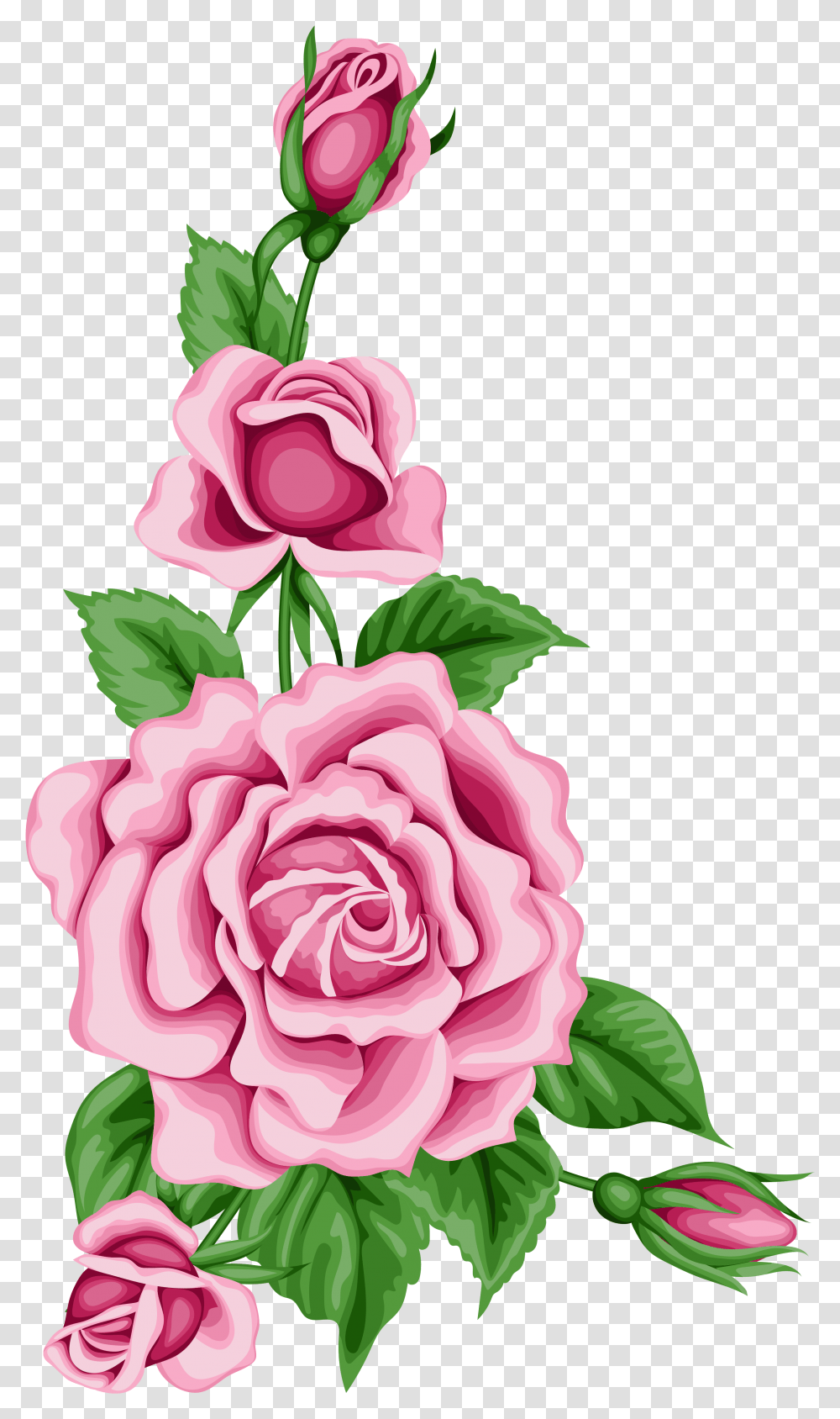 Roses Decoration Clipart Image Flower Rose Flower Border Clipart, Plant, Blossom, Carnation, Flower Arrangement Transparent Png