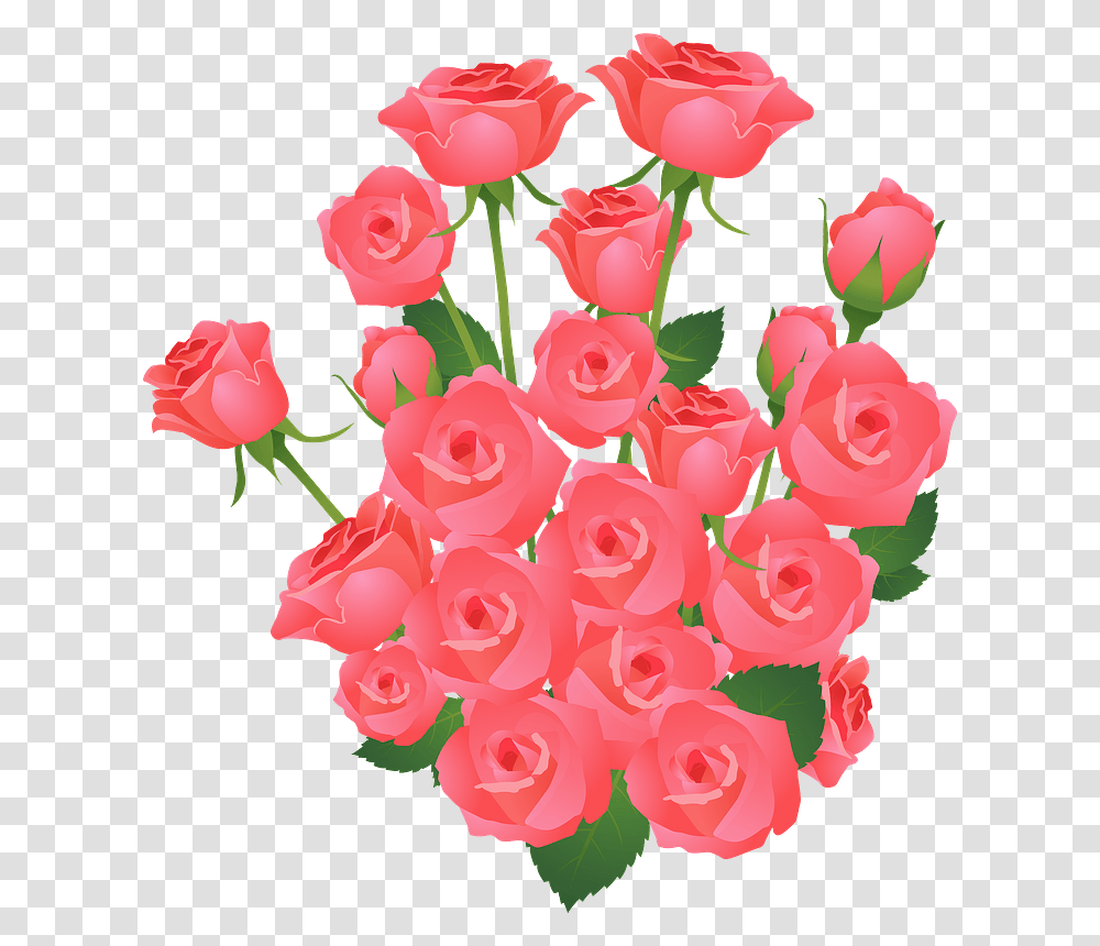 Roses Flower Bouquet Clipart, Plant, Blossom, Flower Arrangement Transparent Png