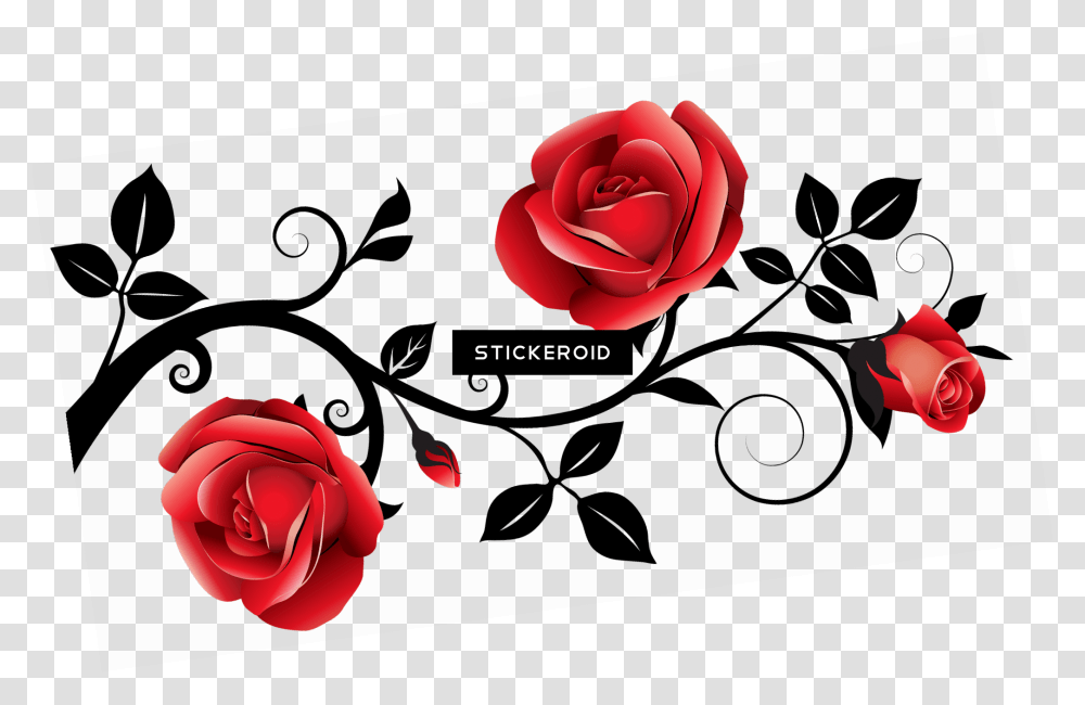 Roses, Flower, Plant, Blossom, Petal Transparent Png