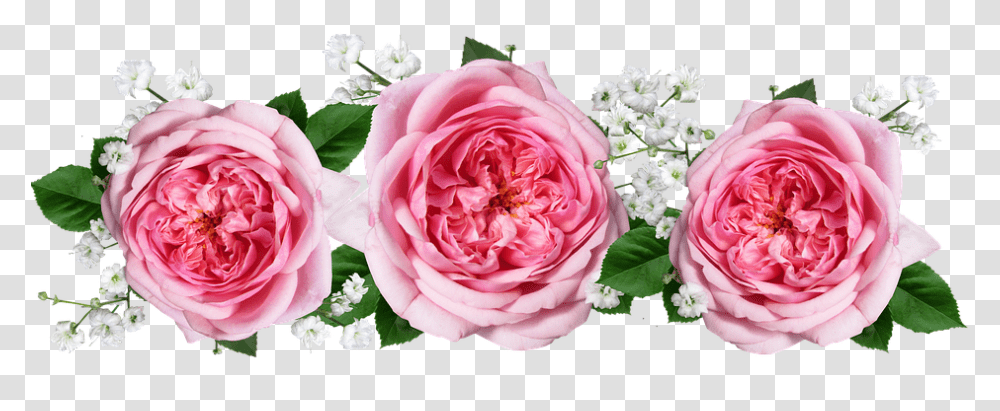 Roses Flowers Arrangement Flores Rosas Rosas, Plant, Blossom, Peony, Petal Transparent Png