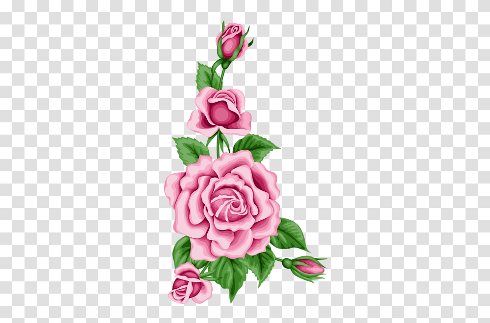 Roses Flowers Clip Art And Vintage, Plant, Blossom, Carnation, Petal Transparent Png