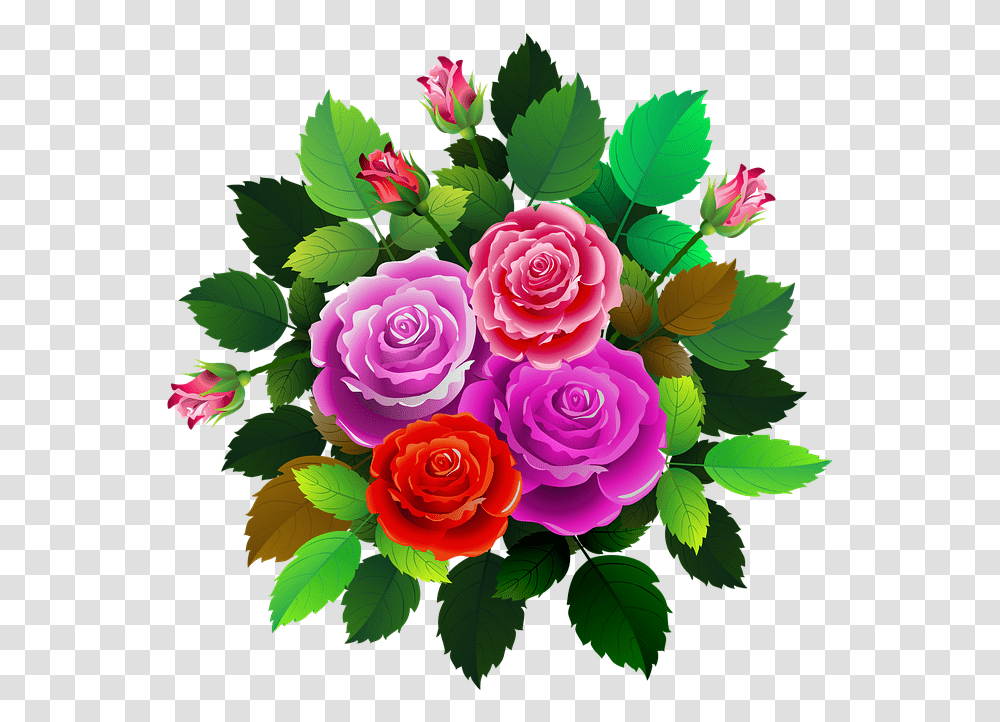 Roses Flowers Floral Free Image On Pixabay Flower, Plant, Blossom, Graphics, Art Transparent Png