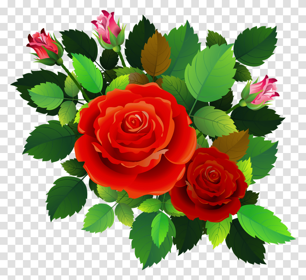 Roses Flowers Floral Free Image On Pixabay Romantic Rose Images Hd Download, Plant, Blossom, Graphics, Art Transparent Png