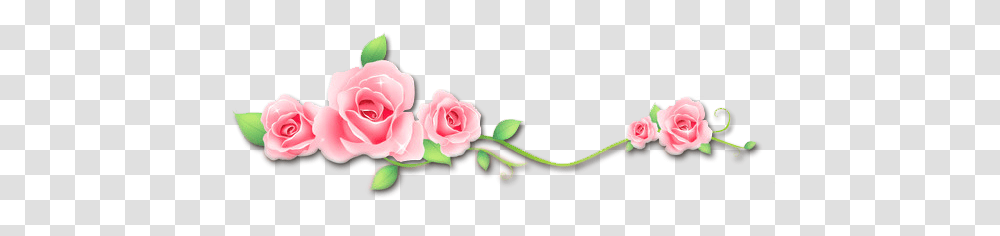 Roses Flowers Vinesandleaves Divider Header Textline Garden Roses, Plant, Blossom Transparent Png
