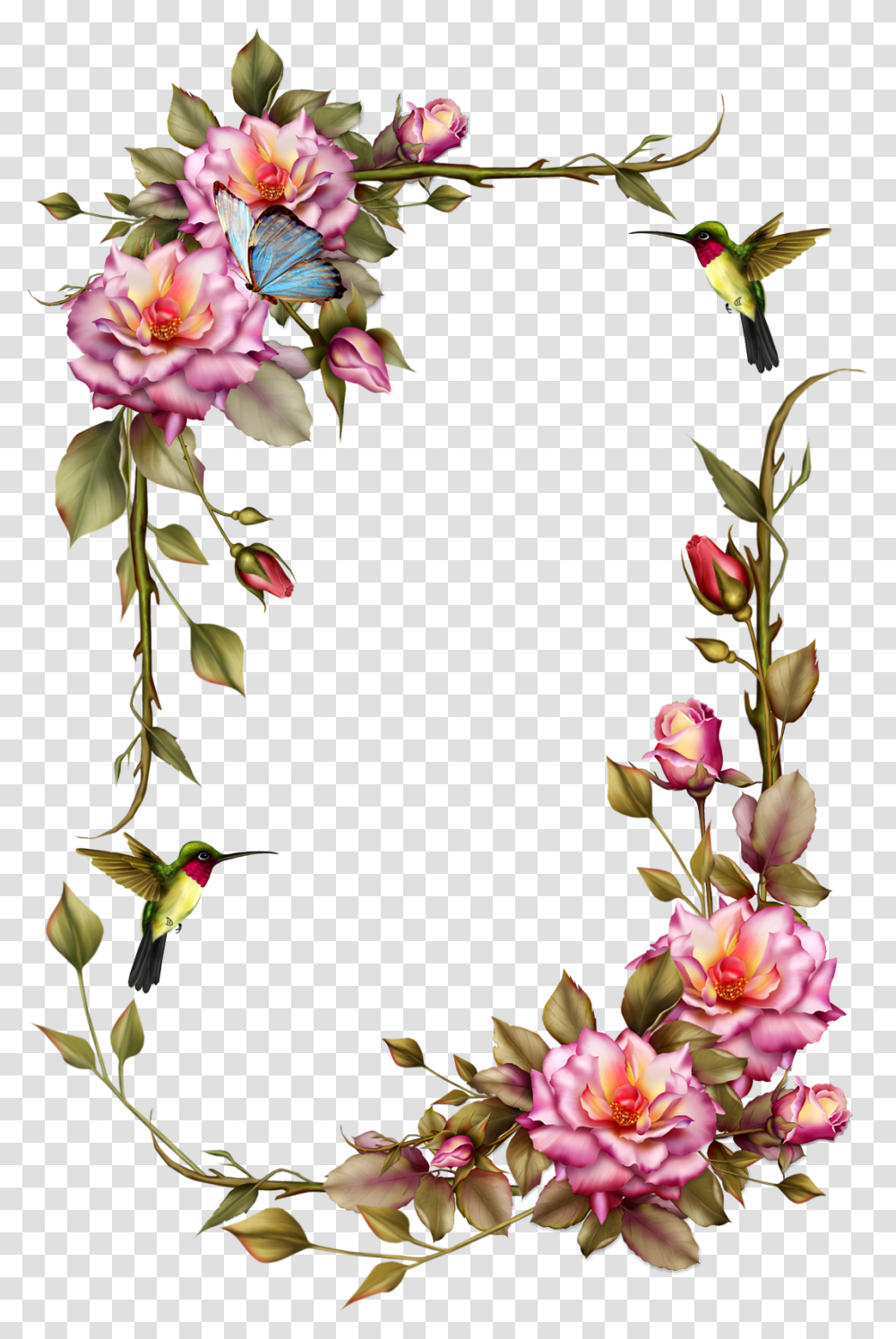 Roses Frame With Humming Bird Flower Frame, Plant, Petal, Flower Arrangement, Animal Transparent Png