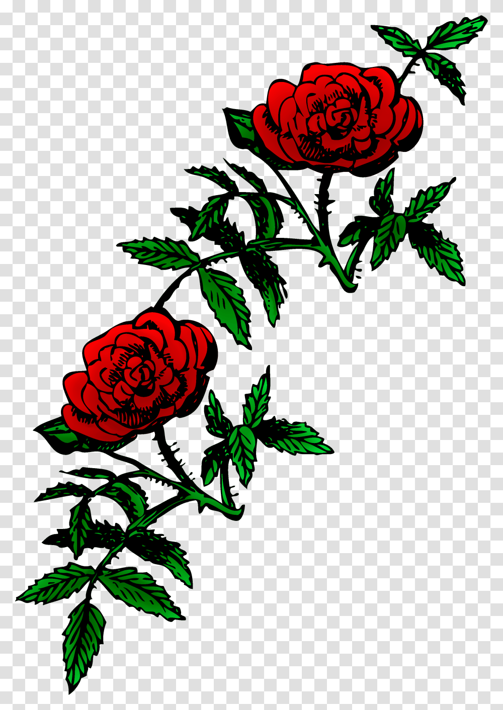 Roses, Floral Design, Pattern Transparent Png