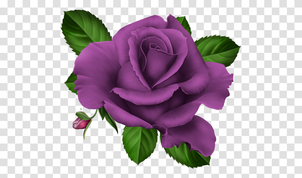 Roses Pink Roze Rosa Kwiaty Glitter Purple Rose Clipart, Flower, Plant, Blossom, Petal Transparent Png