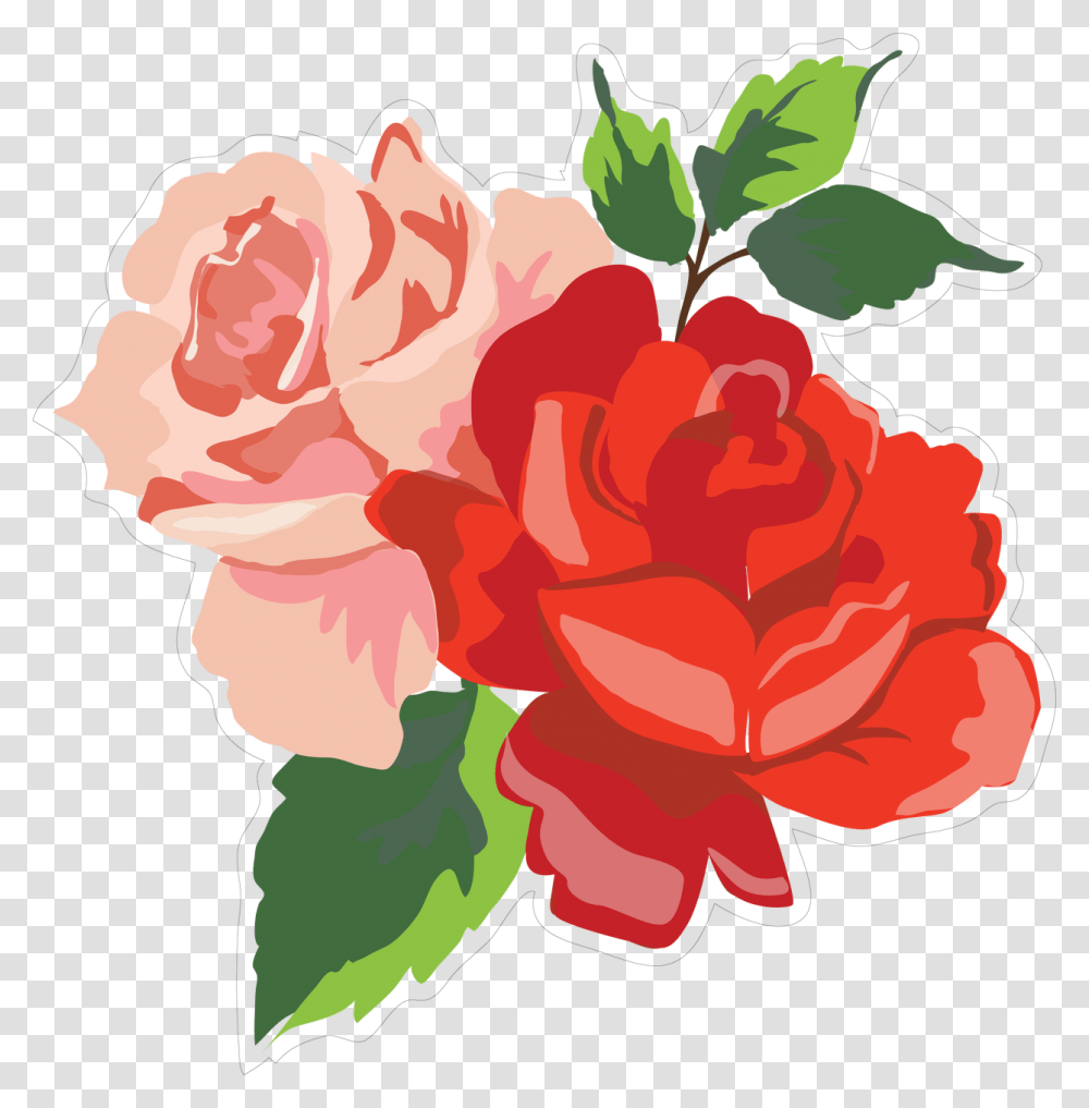 Roses Print Amp Cut File Garden Roses, Plant, Flower, Blossom, Carnation Transparent Png