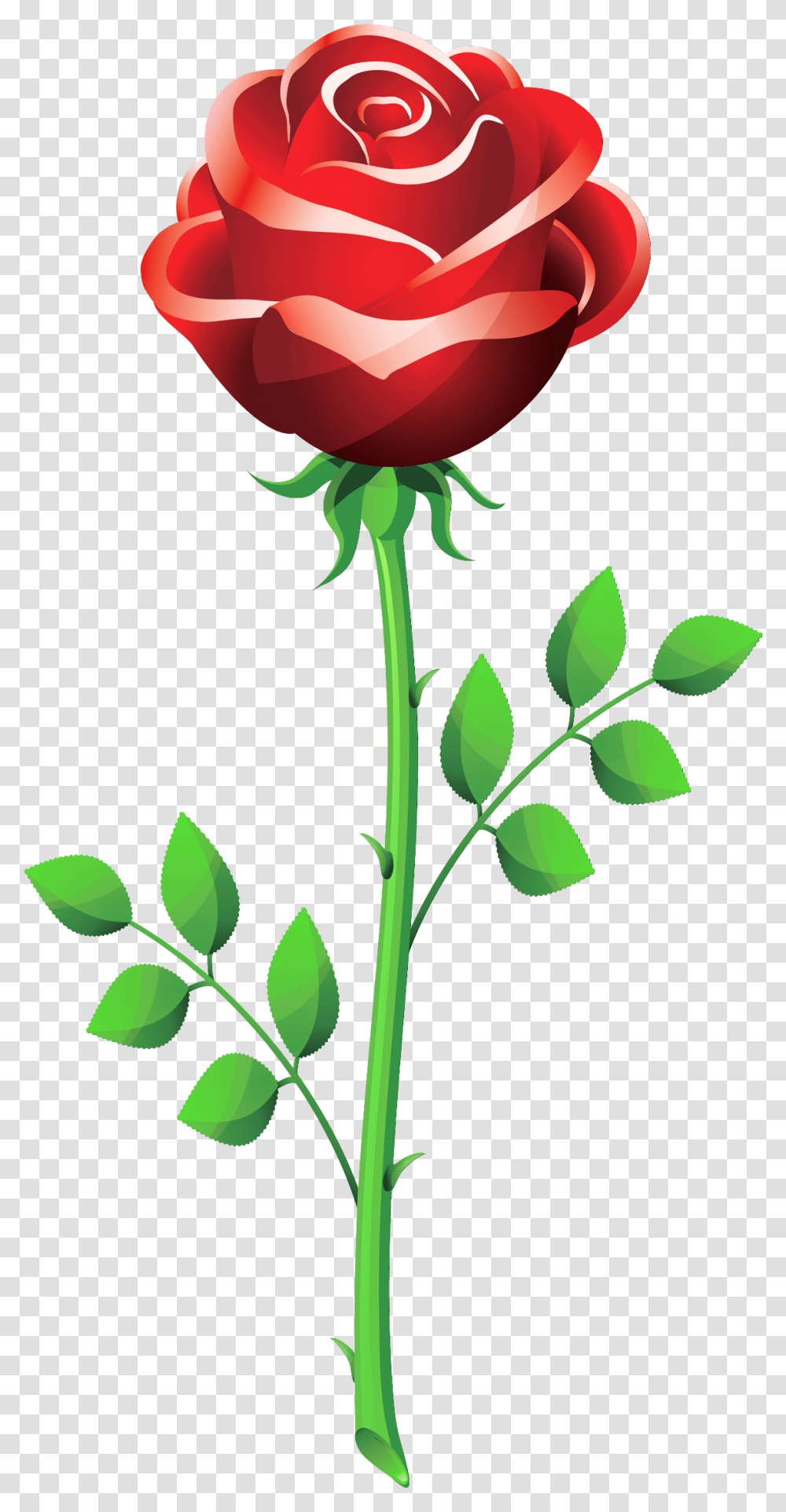 Roses Red Rose Clip Art Vectors Download Free Vector Rose Flower Vector, Plant, Blossom, Leaf Transparent Png