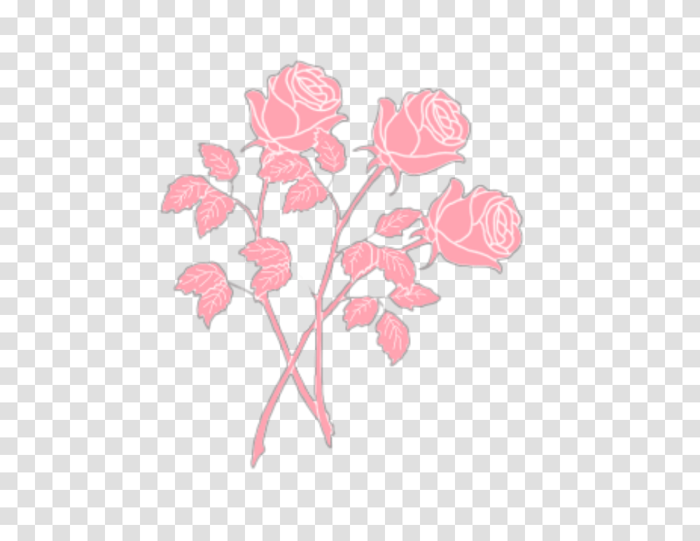 Roses Rose Pink Pastel Pastelpink Aesthetic Tumblr Plan, Flower, Plant Transparent Png