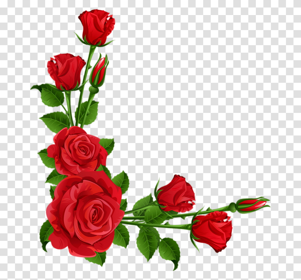 Roses Rouges Coin Tube Red Roses Clipart Floribunda, Flower, Plant, Blossom, Petal Transparent Png