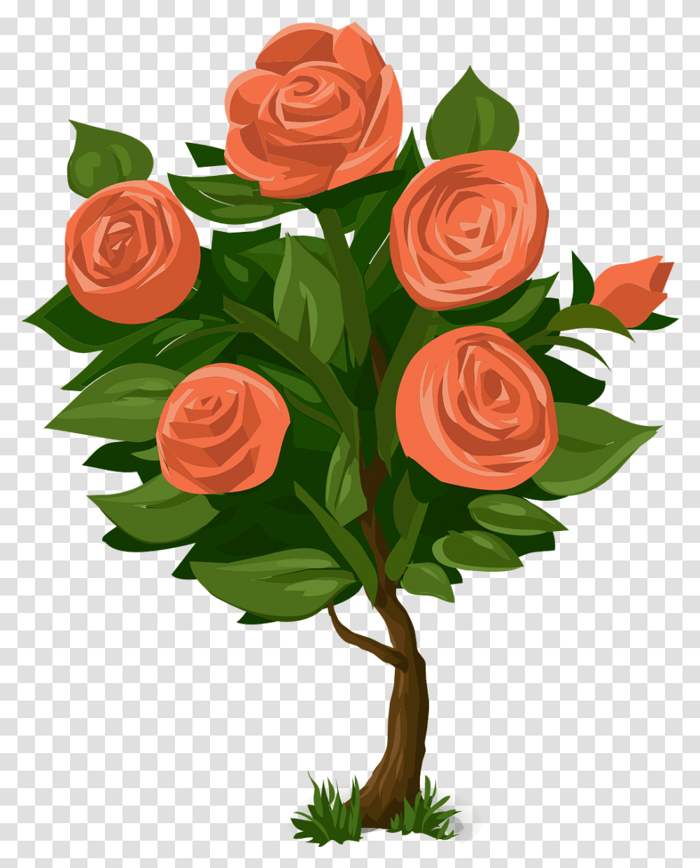 Roses Tree Bush Rose Plant Clipart, Flower, Blossom, Graphics, Floral Design Transparent Png