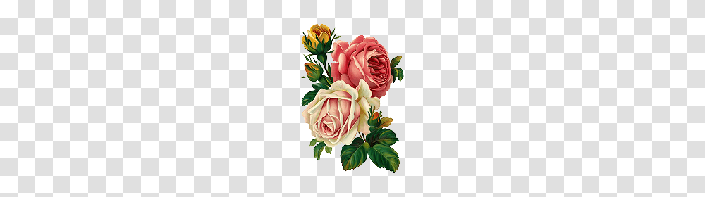 Roses Tumblr, Floral Design, Pattern Transparent Png