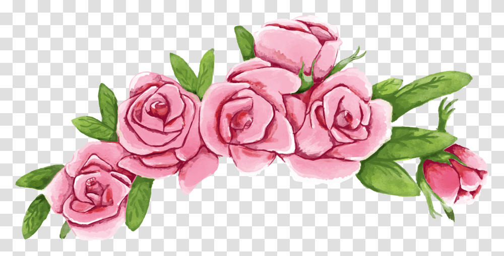 Roses Vector Flower Crown Vector, Plant, Blossom, Petal, Peony Transparent Png
