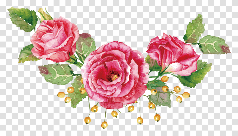 Roses Vector Pink Flower Rose Vector, Plant, Blossom, Peony, Flower Arrangement Transparent Png
