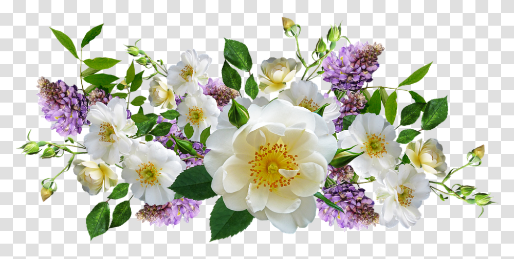 Roses Wisteria Flowers, Plant, Blossom, Flower Bouquet, Flower Arrangement Transparent Png