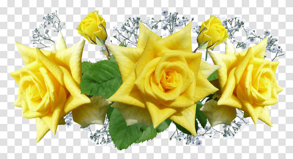 Roses Yellow Flowers Decorationroses Bunga Mawar Kuning, Plant, Blossom, Flower Arrangement, Leaf Transparent Png
