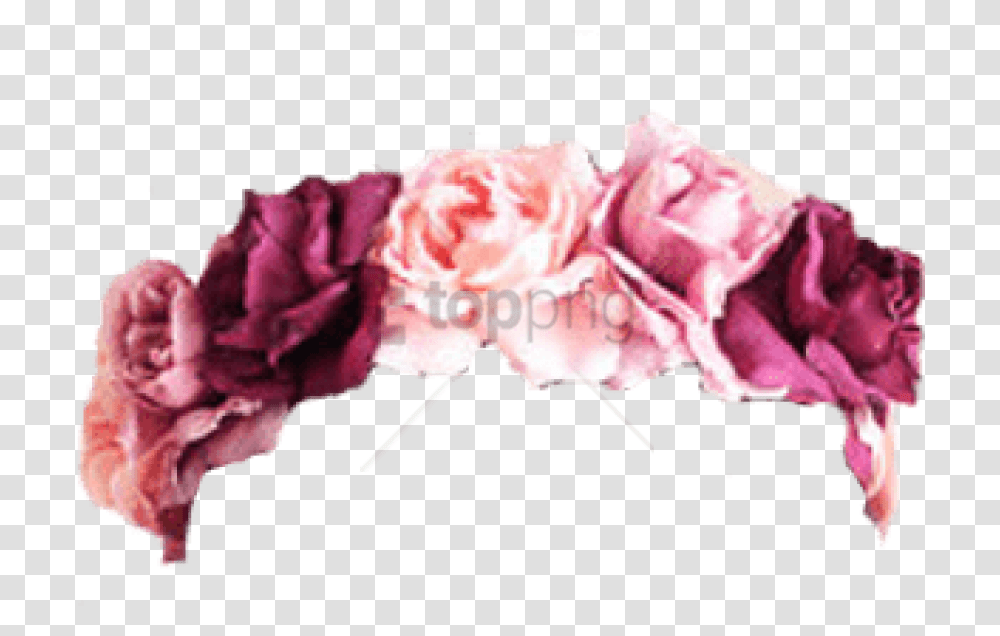 Roseshybrid Tea Roserose Flowersflowering Plantmagentapeony Cute Chibi Gif Girl, Blossom, Petal, Carnation Transparent Png