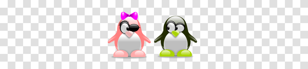 Rosh Clip Art Download, Bird, Animal, Penguin Transparent Png
