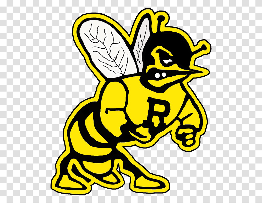 Rosholt School District, Wasp, Bee, Insect, Invertebrate Transparent Png