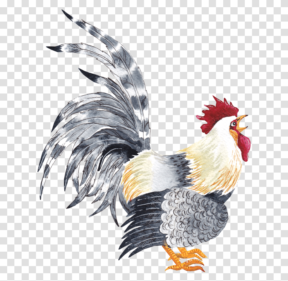 Rosterpng 02 Rooster, Bird, Animal, Fowl, Poultry Transparent Png