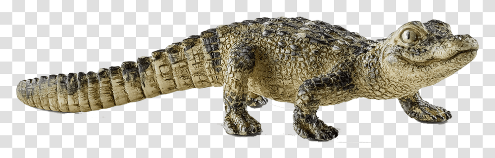 Rotate Resize Tool Drawing Schleich Crocodile Babies, Lizard, Reptile, Animal, Alligator Transparent Png