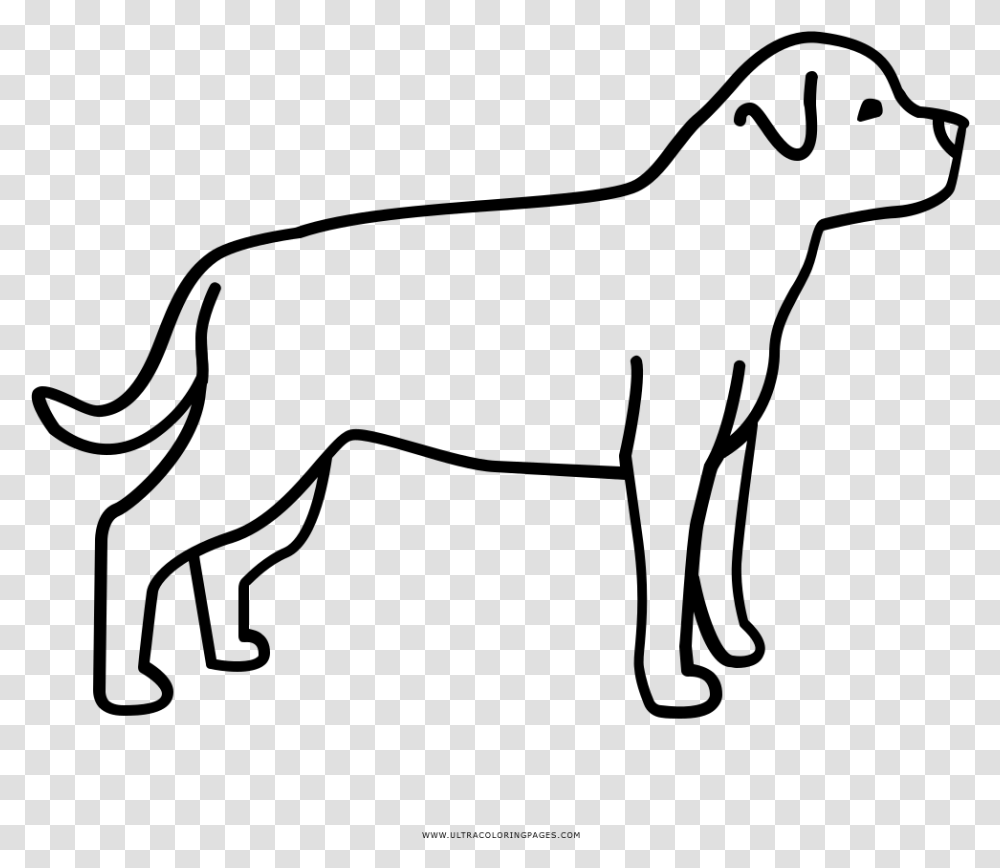 Rottweiler Coloring, Gray, World Of Warcraft Transparent Png