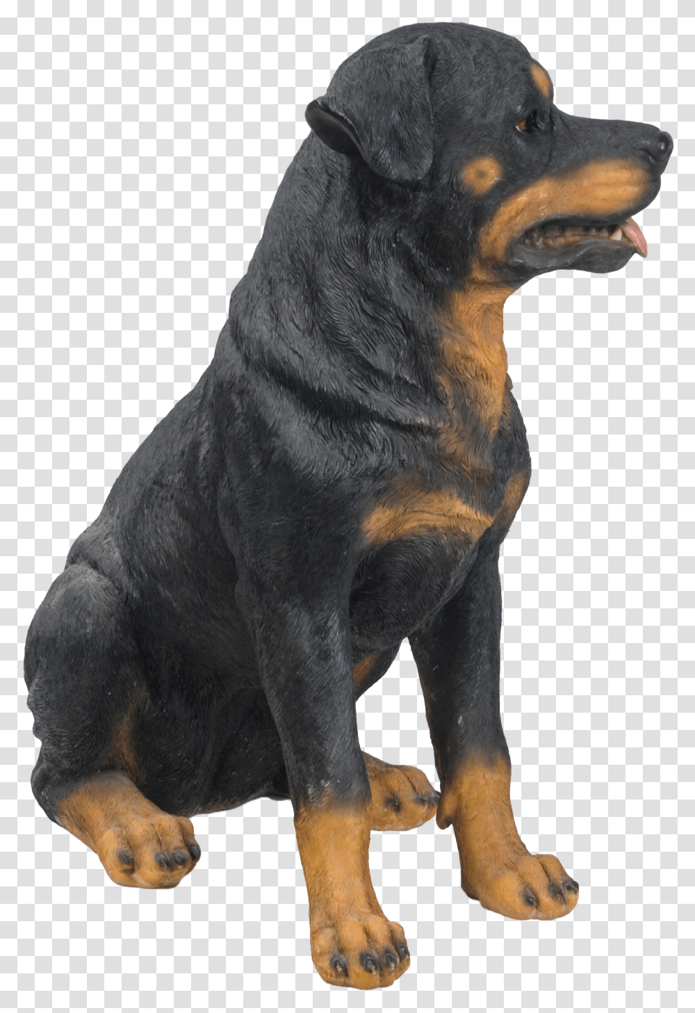 Rottweiler Companion Dog, Animal, Mammal, Pet, Canine Transparent Png