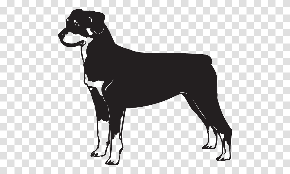 Rottweiler Decal, Mammal, Animal, Pet, Canine Transparent Png