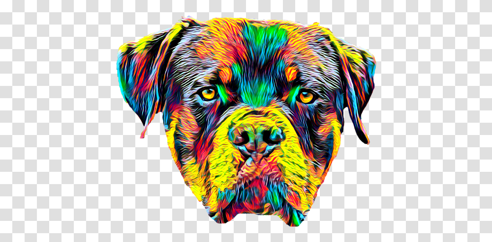 Rottweiler Dog Breed Head Pet Portrait Duvet Cover Boxer, Pattern, Ornament, Art, Graphics Transparent Png