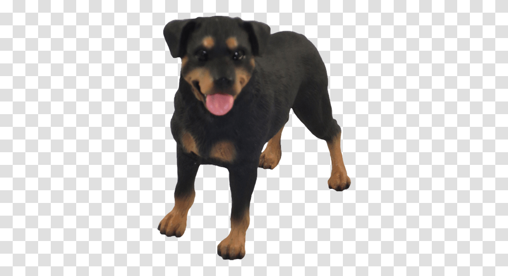 Rottweiler Gifts For Rottie Lovers Transylvanian Hound, Dog, Pet, Canine, Animal Transparent Png