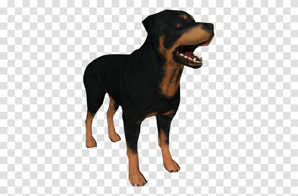 Rottweiler Puppy Dog Breed Snout Dog Yawns, Pet, Animal, Canine, Mammal Transparent Png