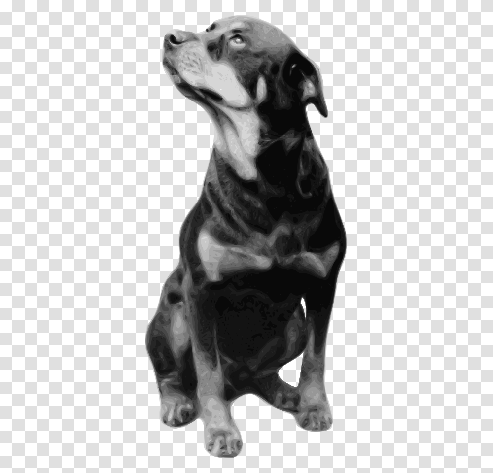 Rottweiler Svg Clip Arts Dogs Rottweiler Black And White, Person, Human, Pet, Animal Transparent Png