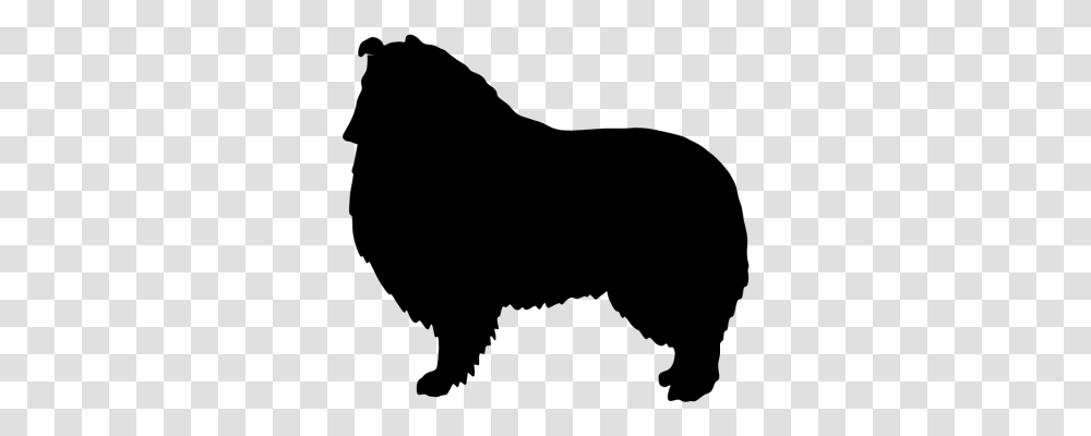 Rough Collie Silhouette, Gray, World Of Warcraft Transparent Png