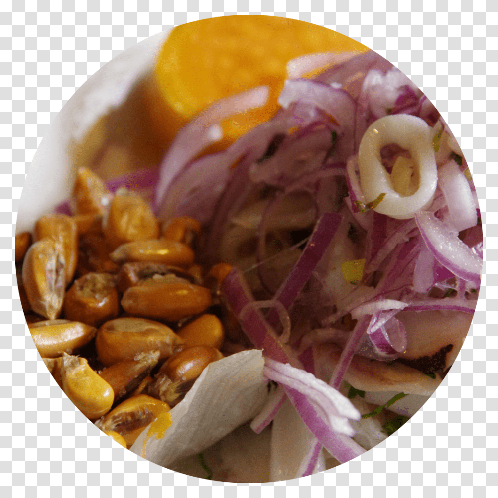Round Ceviche Web Red Onion, Plant, Vegetable, Food, Produce Transparent Png
