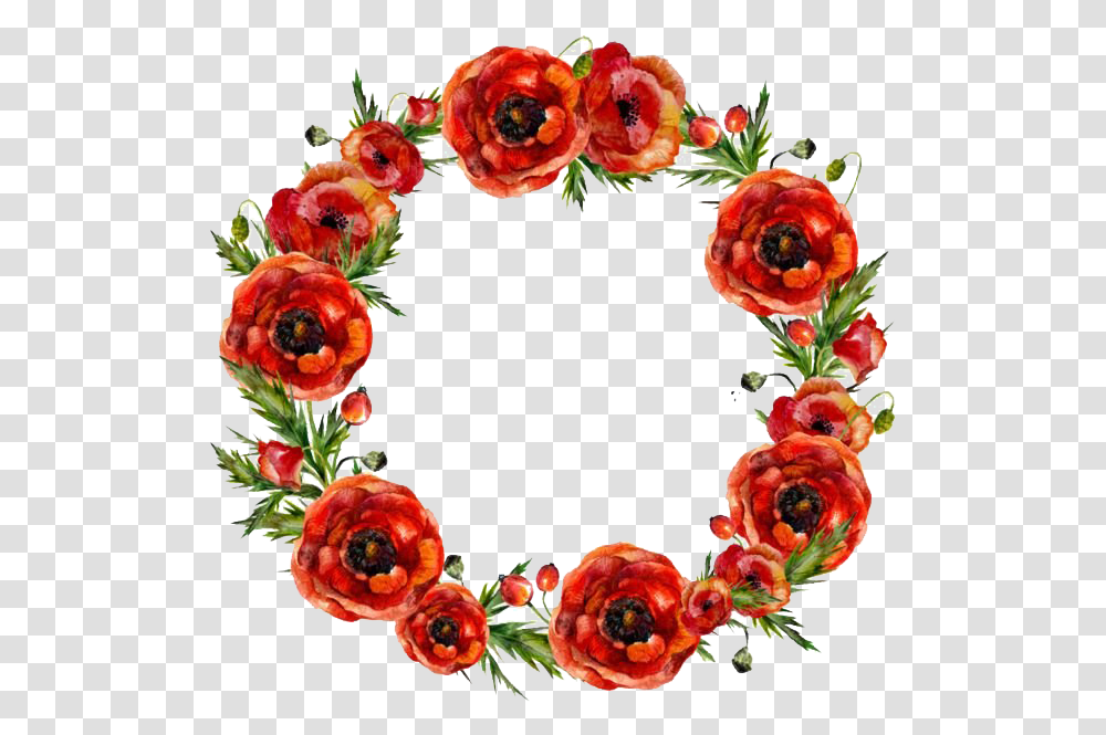 Round Poppy Flower Frame Image Flower Circle Border Red, Floral Design, Pattern Transparent Png