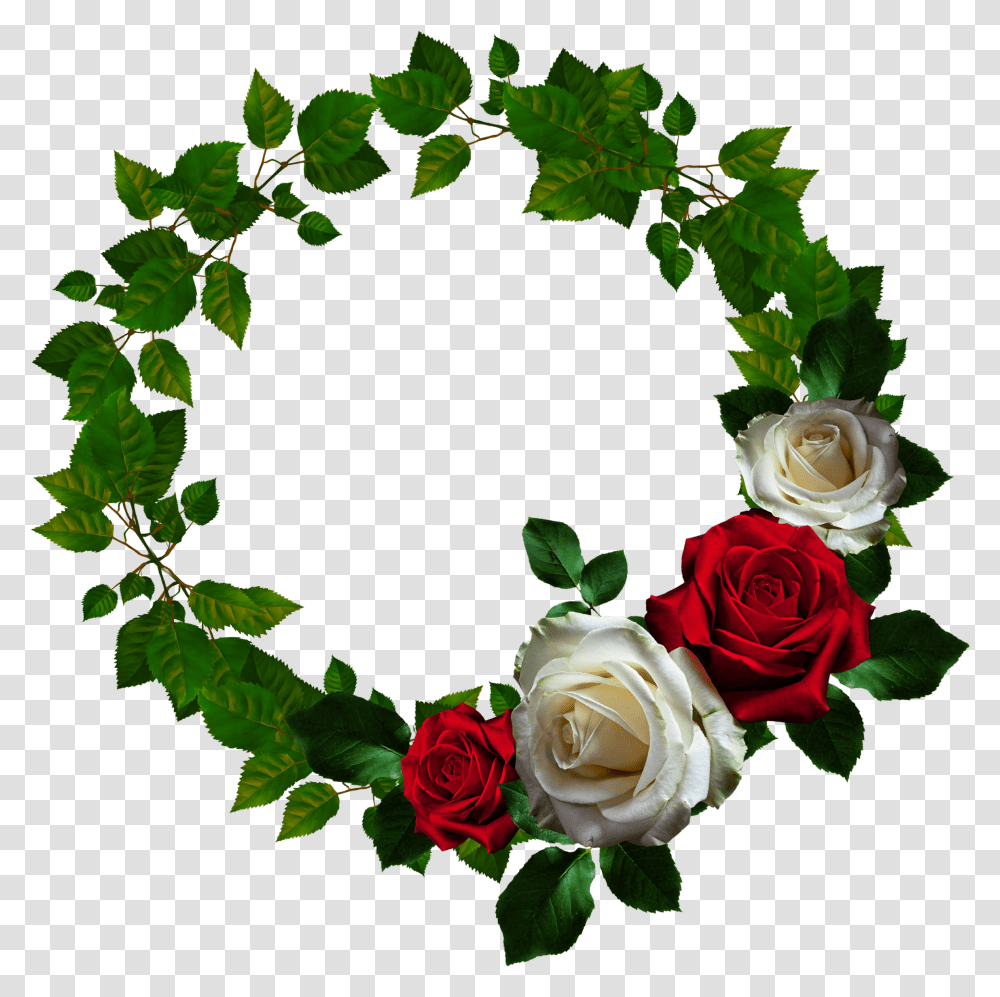 Round Rose Frame Round Flower Roses, Plant, Blossom, Flower Arrangement, Wreath Transparent Png
